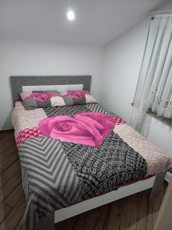 Nastanitev Nika Apartman Rogaška Slatina Kültér fotó